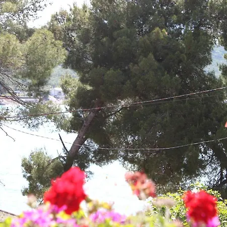 公寓 Lemon House 卡萨米尔