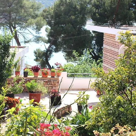 Lemon House * 卡萨米尔